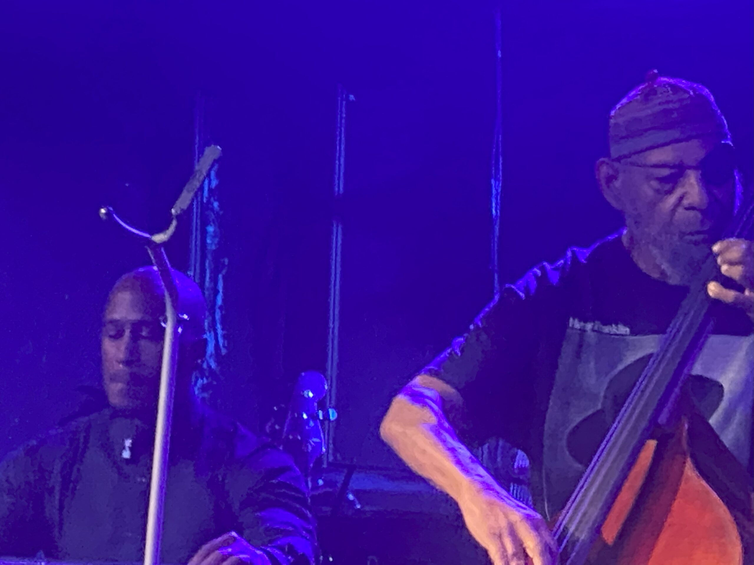 A blue-lit performance photograph shows musicians on stage, including a player with a large string instrument. The original page does not identify the event or performer.